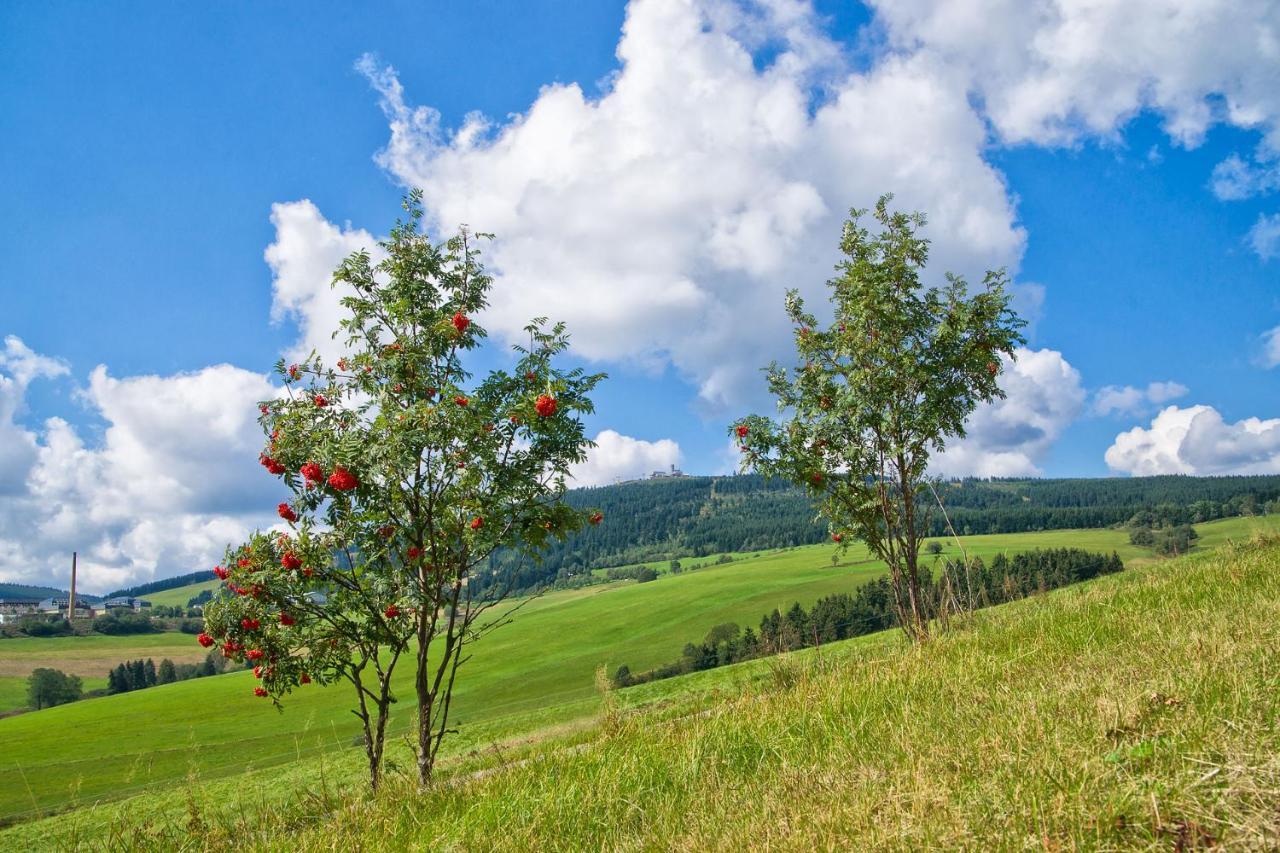 Am Roten Hammer I Gasthof Und Pension Oberwiesenthal Luaran gambar